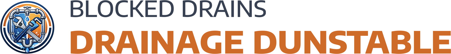 website logo